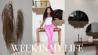 WEEKVLOG: BRUNCH W/ EDRIANNA, SURPRISING RAMESH FOR HIS BDAY, HAWKS GAME, & CONTENT DAY| Shalaya Dae