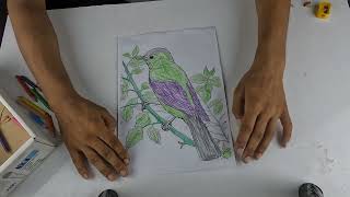 Akta Tia Pakhir sobi color korlam ajke rong pencil die | Mojibor Art