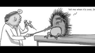 Porcupine 101~Porcupine Interesting Funny Facts You Didn't Know