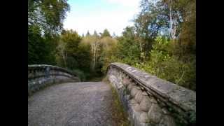 lough key forest park - roscommon - ireland