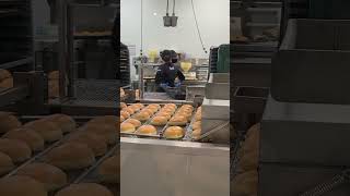 How Krispy Kreme Doughnuts are Made #toronto #ontariocanada #doughnuts