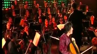 Gulda Cello Concerto 1st movt. - Vid Veljak, Cello