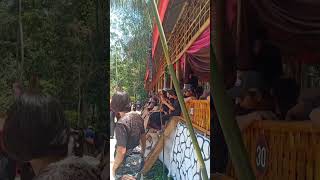 Ma'palao Mengajak jalan-jalan alm, pemakaman adat suku Toraja