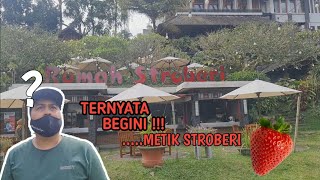 RUMAH STROBERI || LEMBANG BANDUNG