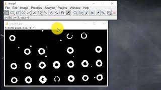 011 Máximos, Binarización y otros Procesos (Curso ImageJ-Fiji)