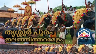 Thrissur Pooram||തൃശ്ശൂർ പൂരം|| Ilanjithara Melam ||ഇലഞ്ഞിത്തറമേളം|| @realistictravelogue