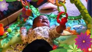 Funniest Baby Laughing