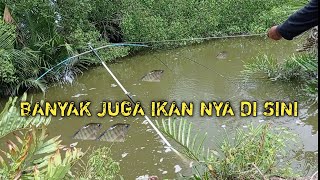 JUDULNYA cari ikan gunakan tangkul || nangkap ikan pakai jaring || BRANJANG IKAN