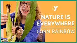 Nature is Everywhere with Reesha: Corn Rainbow - Classrooms for All