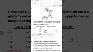 9.sınıf güncel meb kazanım kavrama testi 15 2024 DETAYLI ANLATIM