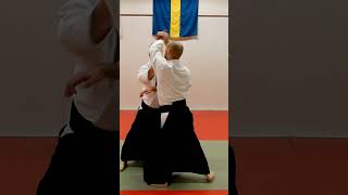 Aikido in slow motion: IKKYO against some strike and grab attacks, by Stefan Stenudd