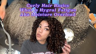 Curly Hair Basics: What is Hygral Fatigue/Moisture Overload & How to Fix It #hairdamage