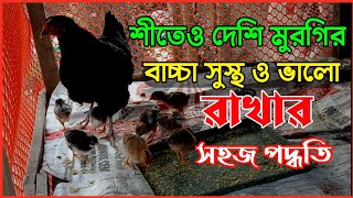 মুরগির বাচ্চা, শীতকালে সুস্থ ও ভাল রাখার সহজ পদ্ধতি | murgir baccha, shitkale sustho rakhar poddhoti