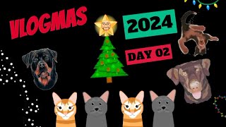 VLOGMAS 2024, DAY 02 SHENANIGANS ~