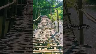 Bamboo bridge #bamboobridge #bamboo #nature #hindisong #shorts #youtubeshorts