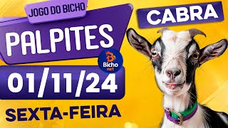 PALPITE DO DIA 01/11/2024 - JOGO DO BICHO 🍀 TODAS AS LOTERIAS 🍀