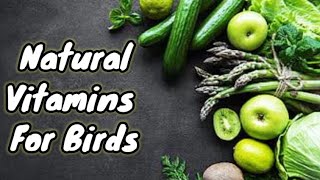 Don't Use Excessive Multivitamins & Calcium | Only Use Natural Vitamins|Birds Ko Natural Foods Dein