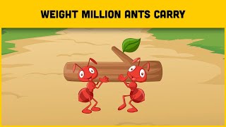 The Weight That A Million Ants Carry Will Blow Your Mind