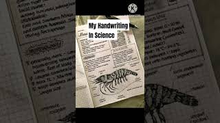 My Handwriting In Math VS My Handwriting In Science||#shorts