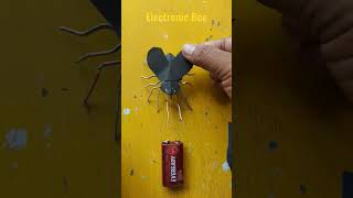 Electronic Bee, Electronic project for student