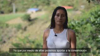 Restaurando y pajareando alrededor del Galeras: Experiencia de mujeres cafeteras