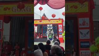 ATRAKSI BARONGSAI PIUS PART 2