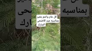 كل عام وانتم بخير بمناسبه عيد الاضحى المبارك