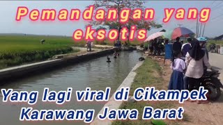 Hamparan Sawah dan jalan yang lurus di wanci mekar, kota baru, Cikampek Karawang Jawa Barat