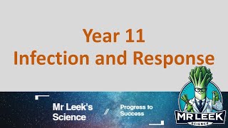 Year 11 Infection and response revision questions