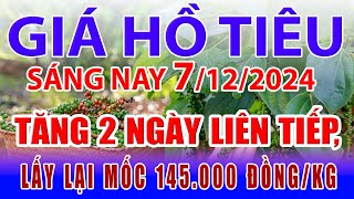 Giá tiêu hôm nay 7/12: tăng 2 ngày liên tiếp, lấy lại mốc 145.000 đồng/kg