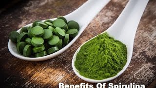 Spirulina Superfood :10 Health Benefits Of Spirulina | Spirulina Superfood Powerhouse