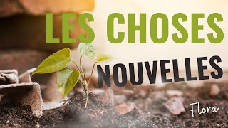 RTA - Les choses nouvelles