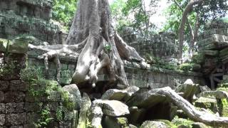 Angkor Temples