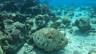 Pierbaai and Car Pile, Curacao January 2024