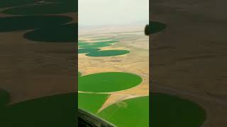 desert farming #shorts #travel #nature #aerialviews #flying