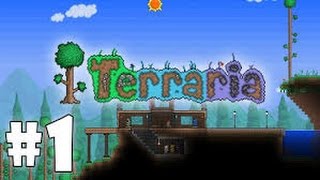 Terraria #1