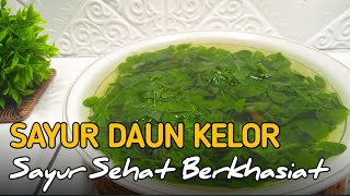 CARA MASAK SAYUR DAUN KELOR - sayuran gizi tinggi