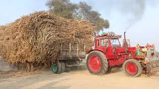 Belarus tractor🚜 Full Load Trailer in Suggrance __ Tractor trailer _❤(4K)