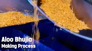 Aloo Bhujia Making Process | Aloo Bhujia Making Factory | #indiantreasurefoodie