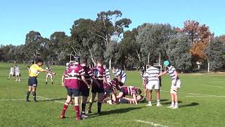 2022 ACT Rugby U16 Game 7 St Edmunds vs Trinity