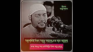 🌿আপনিরা চাচা আবু তালেব এর নাম শুনছেন বিশ্বনবী (সাঃ)এর কাছের একজন মন জোড়ানো ওয়াজ❤️ abu toha new waz