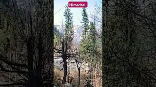 Himachal #shorts #short #nature #youtubeshorts #shortsvideo #subscribe #trending #reels #viralshort