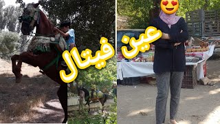 مناضرخلابة بعين فيتال (افران)ومهرجان شعبي/ ديكورات تقليدية أمازيغية 🐎⛰🗻🏘👍