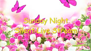 Sunday Night Silent Live Stream