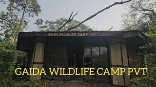 Wildlife hiking safari | Best safari in Chitwan,Nepal | oldest hotel in the jungle made for Royal