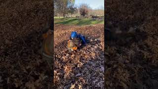 Playing in leaves