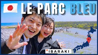 LE PARC BLEU 《TOKYO BALADE TAKUMI》