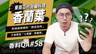 【香料QA#58】香蘭葉．七葉蘭．斑蘭葉｜東南亞甜鹹料理都用的到！｜散發著芋頭香的綠色染料！？｜味旅Spices Journey