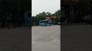 Bus Cendana Menuju Pulau jawa #shorts #ayonaikbus #busjawa