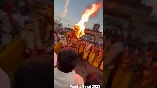 Pandha Sevai 2023 Karamadai